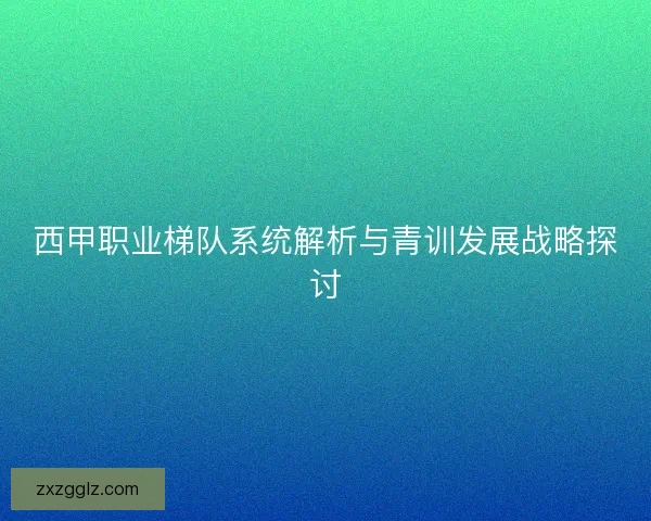西甲职业梯队系统解析与青训发展战略探讨